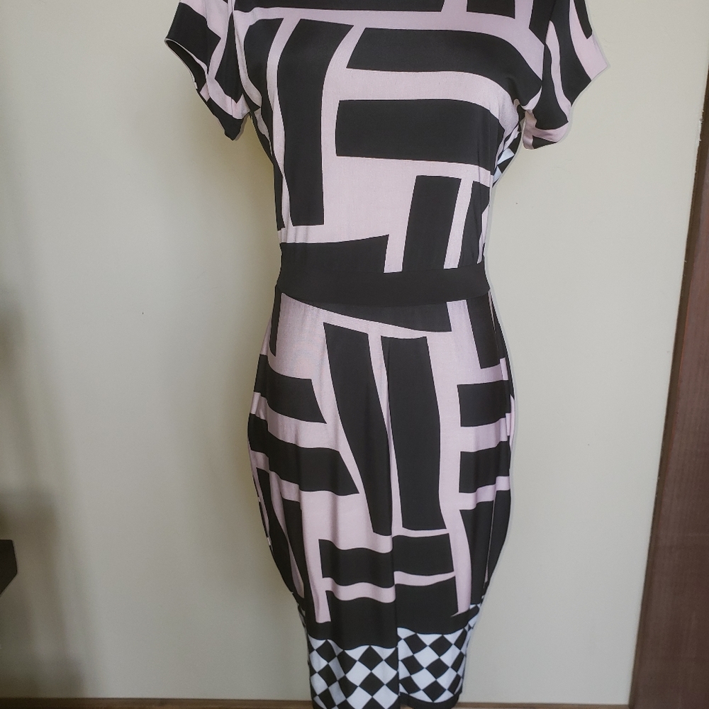 NWT Analysis dress